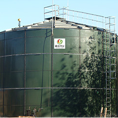 الغاز الحيوي EGSB Reactor Upflow اللاهوائي الحمأة بطانية الهضم لسماد الدجاج