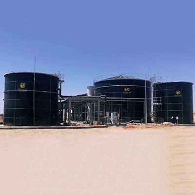 CSTR اللاهوائية مفاعل الغاز الحيوي مشروع الهضم اللاهوائي في الصين