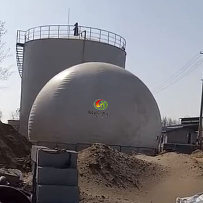 نطاق درجة الحرارة -30 ℃ ~ + 70 ℃ حامل غاز غشاء مزدوج حسب الطلب
