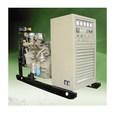 100KW محرك الكتلة الحيوية مولدات تعمل بالغاز الحيوي مولد كهربائي للمنزل