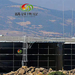 مفاعل السرير المميع اللاهوائي UASB Biogas من سماد الدجاج
