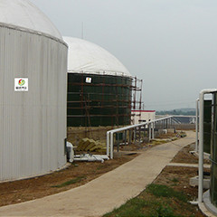 مفاعل السرير المميع اللاهوائي UASB Biogas من سماد الدجاج