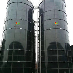 الغاز الحيوي EGSB Reactor Upflow اللاهوائي الحمأة بطانية الهضم لسماد الدجاج
