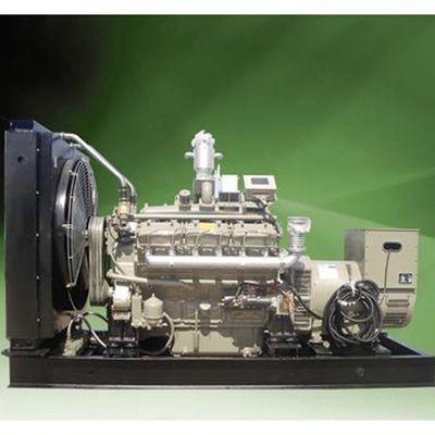 300KW 400KW الغاز الحيوي مولد الكهرباء الغاز الحيوي والدليل على انفجار التوربينات الغازية