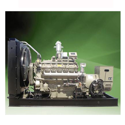10KVA Biogas Motor Generator 500KW مولد غاز الميثان الكهرباء